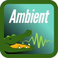 AMBIENT