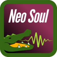 NEO SOUL